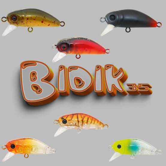 BIDIK 35