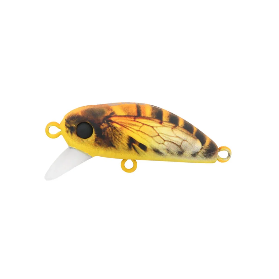 BIDIK 35 - HORNET